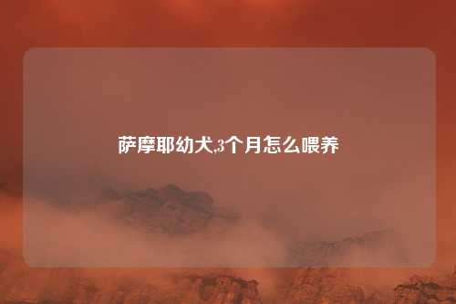 萨摩耶幼犬,3个月怎么喂养