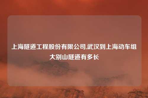 上海隧道工程股份有限公司,武汉到上海动车组大别山隧道有多长