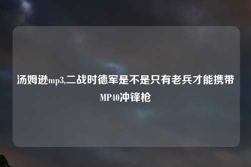 汤姆逊mp3,二战时德军是不是只有老兵才能携带MP40冲锋枪