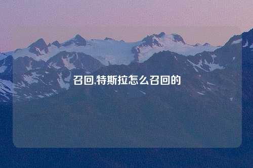 召回,特斯拉怎么召回的
