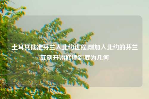 土耳其批准芬兰入北约进程,刚加入北约的芬兰立刻开始修墙到底为几何