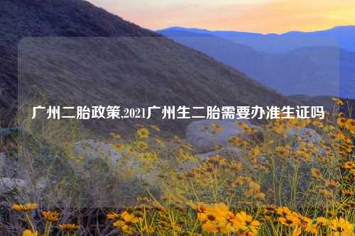 广州二胎政策,2021广州生二胎需要办准生证吗