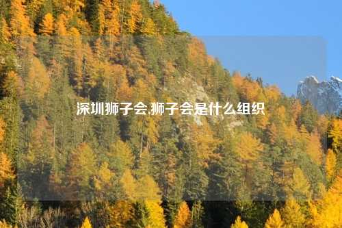 深圳狮子会,狮子会是什么组织