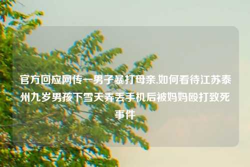 官方回应网传一男子暴打母亲,如何看待江苏泰州九岁男孩下雪天弄丢手机后被妈妈殴打致死事件