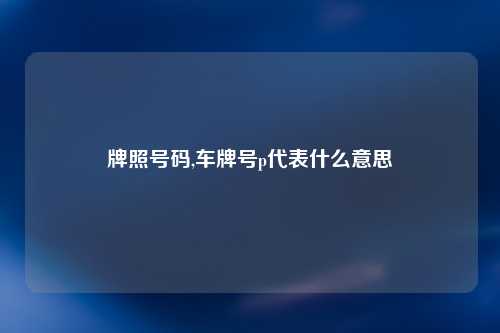 牌照号码,车牌号p代表什么意思