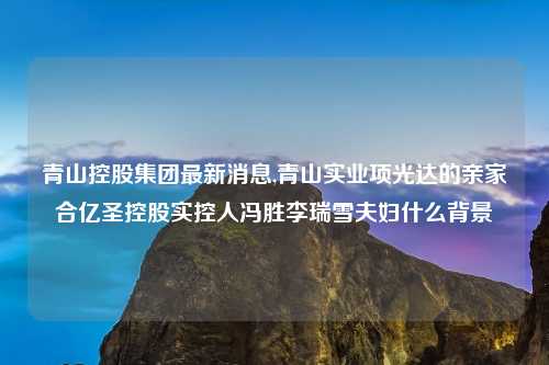 青山控股集团最新消息,青山实业项光达的亲家合亿圣控股实控人冯胜李瑞雪夫妇什么背景