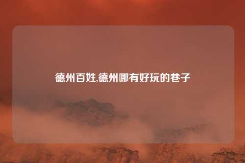 德州百姓,德州哪有好玩的巷子