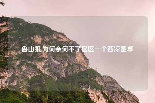 鲁山狼,为何奈何不了区区一个西凉董卓