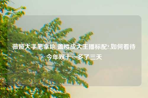 薇娅大手笔拿地 盖楼成大主播标配?,如何看待今年双十一多了三天