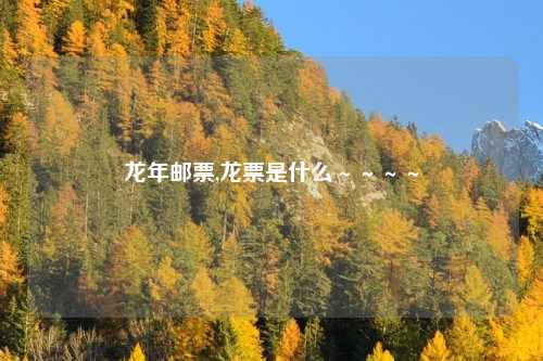 龙年邮票,龙票是什么～～～～
