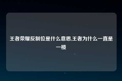 王者荣耀反制位是什么意思,王者为什么一直是一楼
