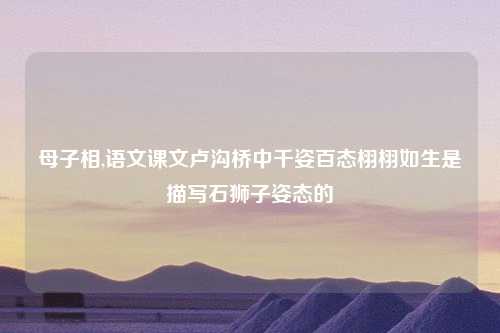 母子相,语文课文卢沟桥中千姿百态栩栩如生是描写石狮子姿态的