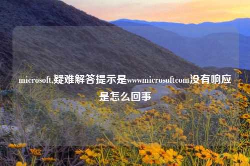microsoft,疑难解答提示是wwwmicrosoftcom没有响应是怎么回事