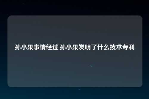 孙小果事情经过,孙小果发明了什么技术专利