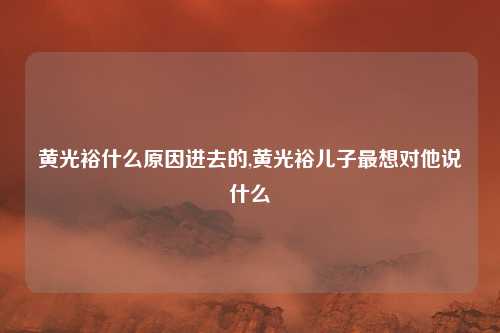 黄光裕什么原因进去的,黄光裕儿子最想对他说什么