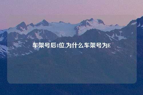 车架号后4位,为什么车架号为E