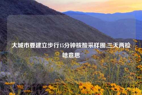 大城市要建立步行15分钟核酸采样圈,三天两检啥意思