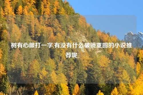 树有心眼打一字,有没有什么破镜重圆的小说推荐呢