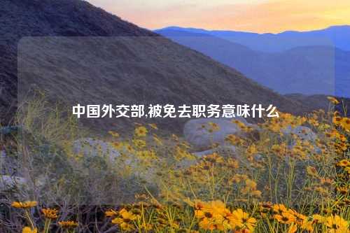 中国外交部,被免去职务意味什么