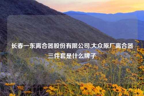 长春一东离合器股份有限公司,大众原厂离合器三件套是什么牌子