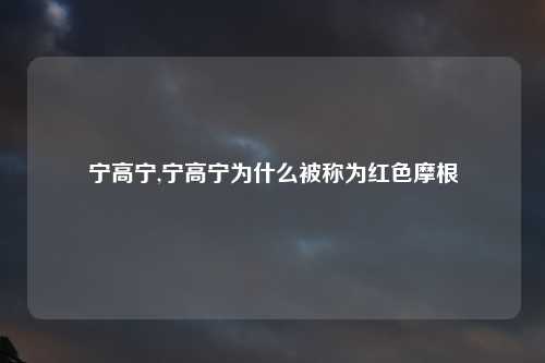 宁高宁,宁高宁为什么被称为红色摩根
