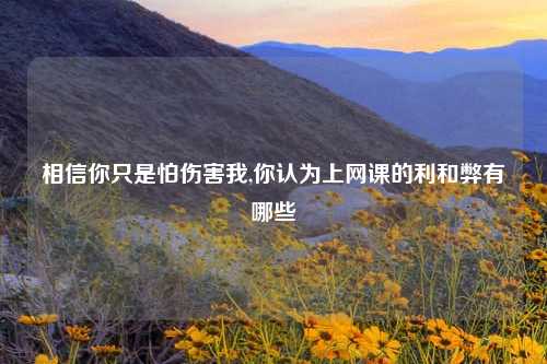 相信你只是怕伤害我,你认为上网课的利和弊有哪些