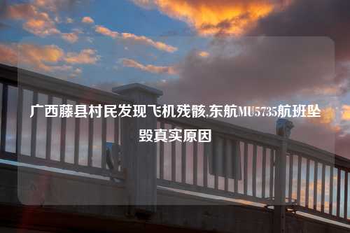 广西藤县村民发现飞机残骸,东航MU5735航班坠毁真实原因