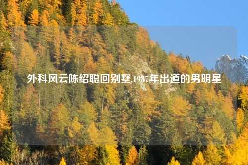 外科风云陈绍聪回别墅,1987年出道的男明星