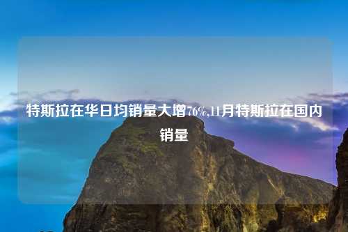 特斯拉在华日均销量大增76%,11月特斯拉在国内销量
