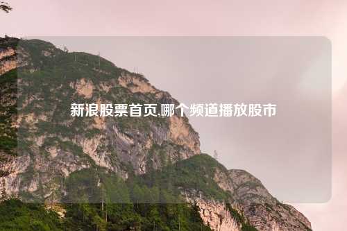 新浪股票首页,哪个频道播放股市