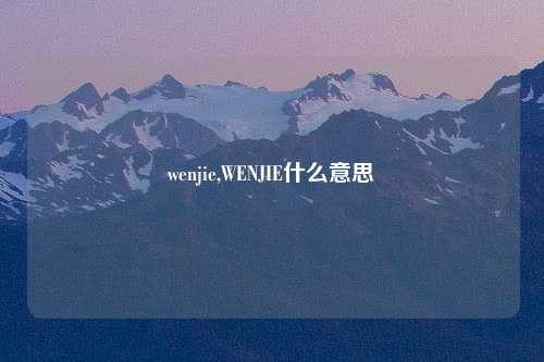 wenjie,WENJIE什么意思
