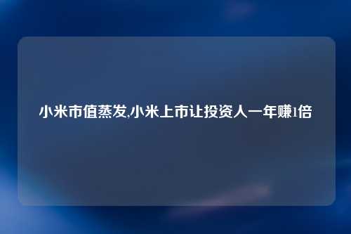 小米市值蒸发,小米上市让投资人一年赚1倍