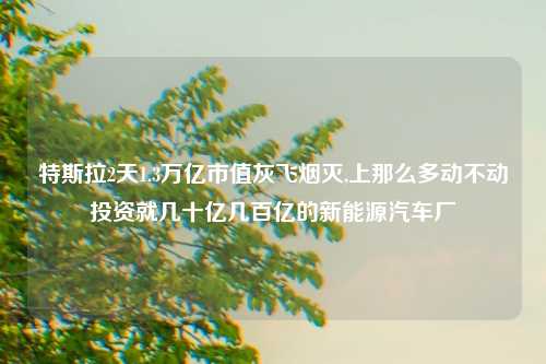 特斯拉2天1.3万亿市值灰飞烟灭,上那么多动不动投资就几十亿几百亿的新能源汽车厂