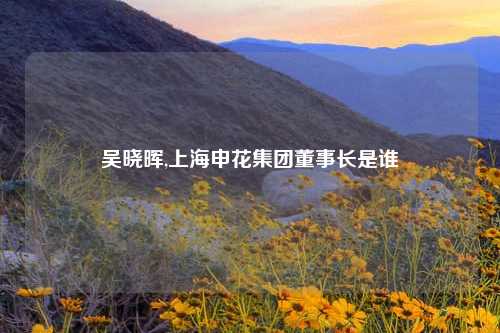 吴晓晖,上海申花集团董事长是谁