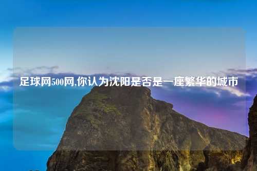 足球网500网,你认为沈阳是否是一座繁华的城市