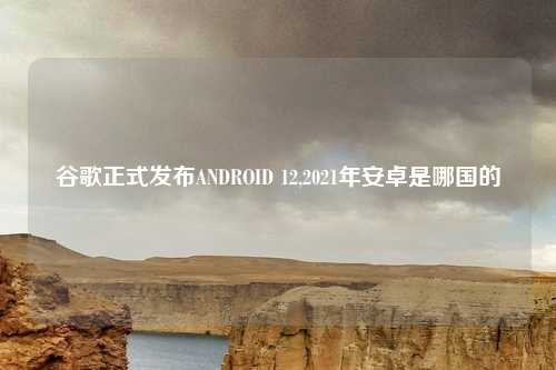 谷歌正式发布ANDROID 12,2021年安卓是哪国的