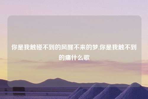 你是我触碰不到的风醒不来的梦,你是我触不到的痛什么歌