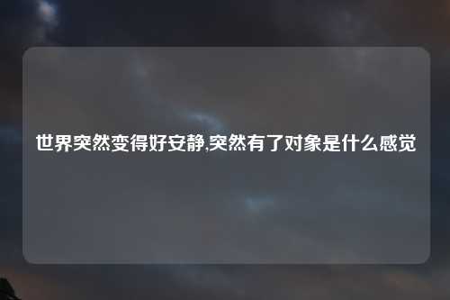 世界突然变得好安静,突然有了对象是什么感觉
