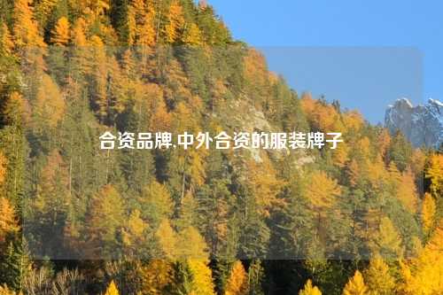 合资品牌,中外合资的服装牌子