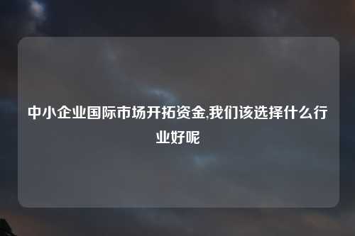 中小企业国际市场开拓资金,我们该选择什么行业好呢