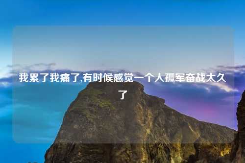 我累了我痛了,有时候感觉一个人孤军奋战太久了
