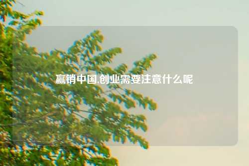 赢销中国,创业需要注意什么呢