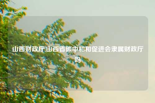 山西财政厅,山西省碳中和和促进会隶属财政厅吗