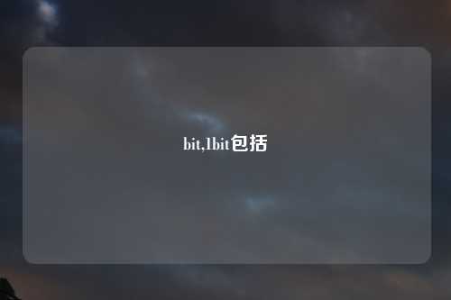 bit,1bit包括