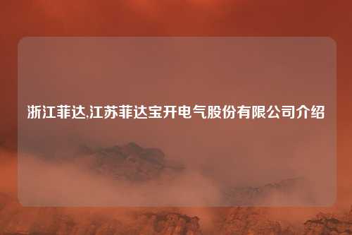 浙江菲达,江苏菲达宝开电气股份有限公司介绍