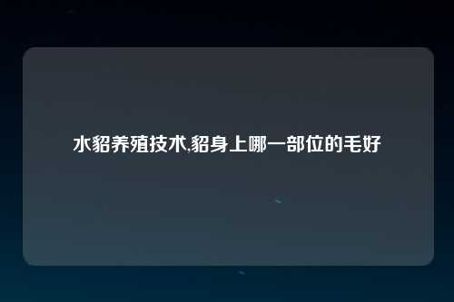 水貂养殖技术,貂身上哪一部位的毛好