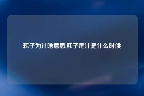 耗子为汁啥意思,耗子尾汁是什么时候