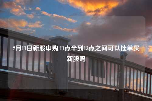 2月11日新股申购,11点半到13点之间可以挂单买新股吗
