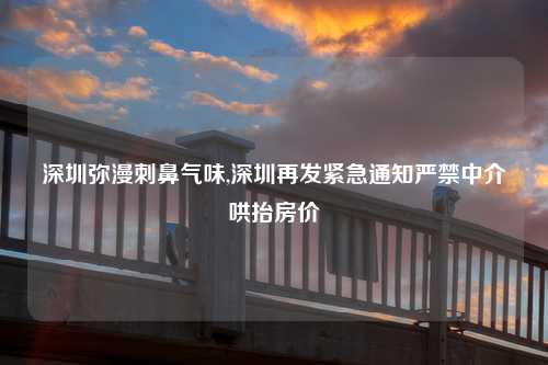 深圳弥漫刺鼻气味,深圳再发紧急通知严禁中介哄抬房价