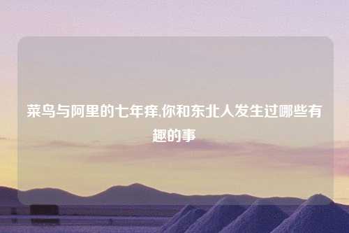菜鸟与阿里的七年痒,你和东北人发生过哪些有趣的事